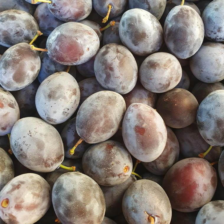 Blaubeeren und Erdbeeren